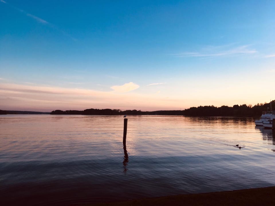 Strand Precise Resort Bad Saarow am Scharmützelsee