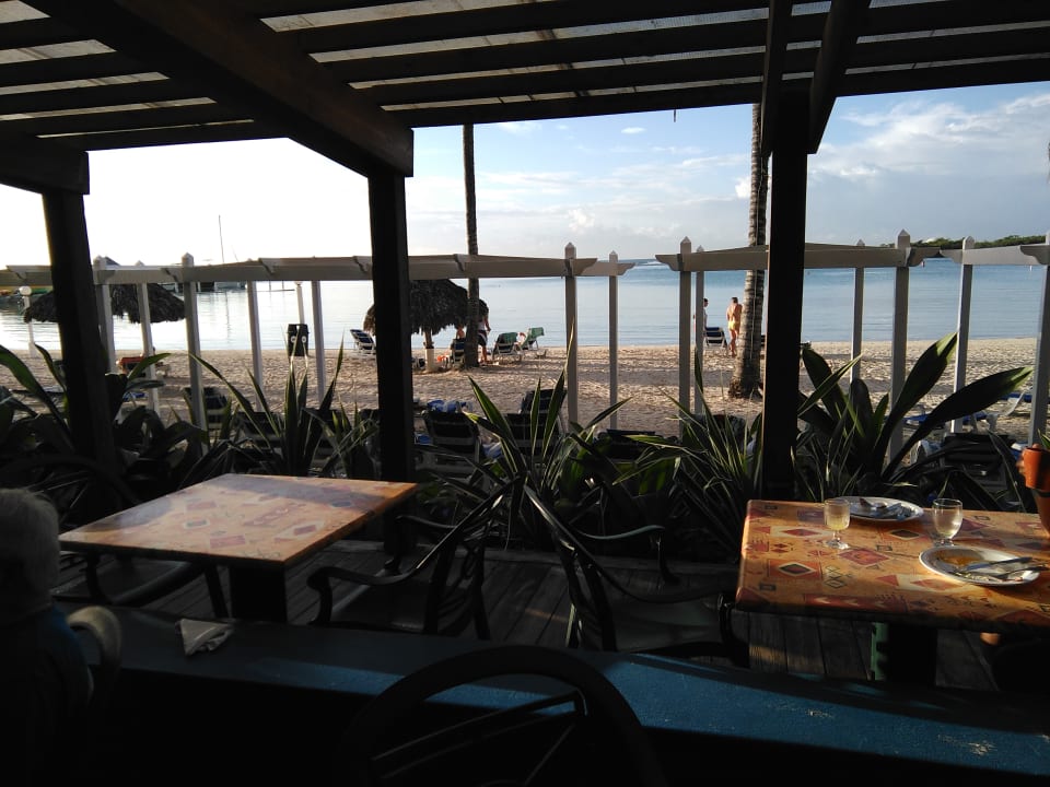 Ausblick whala!boca chica