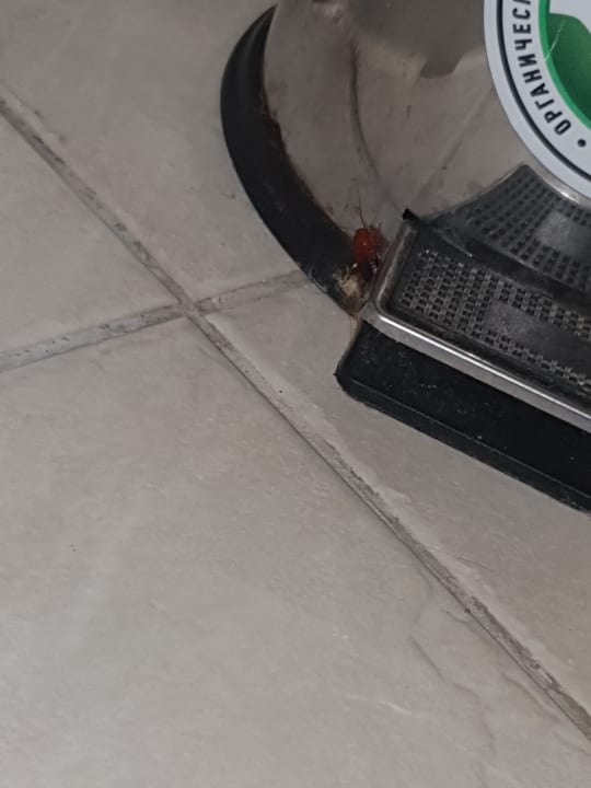 Zimmer Starlight Resort Hotel