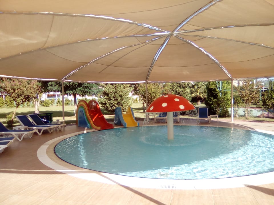 Pool Calimera Hane Garden