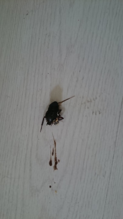 Zimmer allsun Hotel Lux de Mar