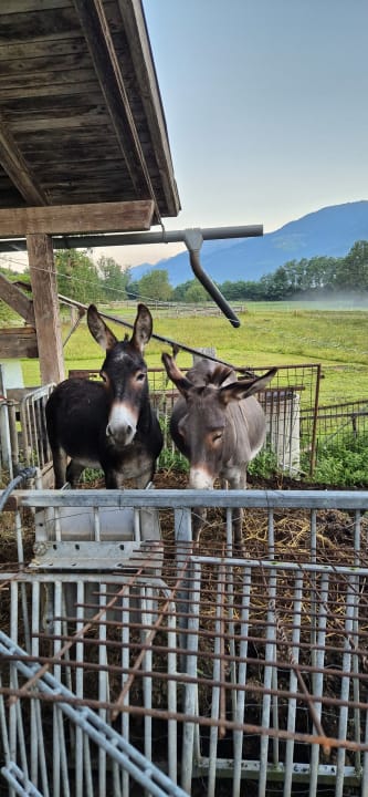 Gartenanlage Hotel Beim Winkler