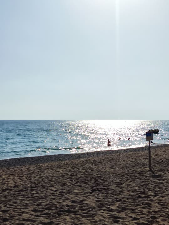 Strand Monachus Family Resort Sorgun