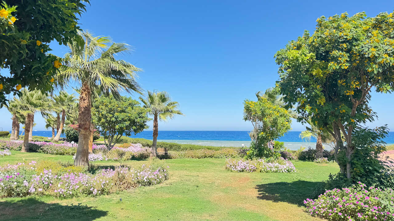 Gartenanlage Three Corners Equinox Beach Resort