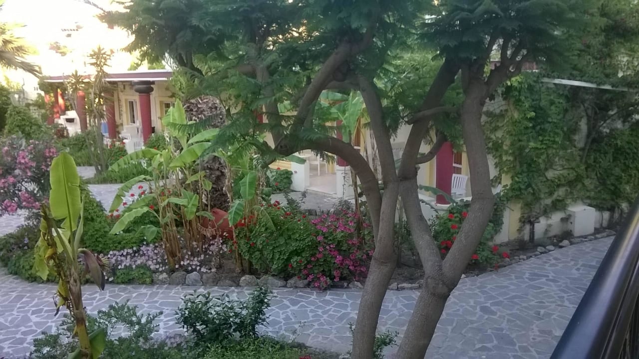 Bananen... Apollon Hotel