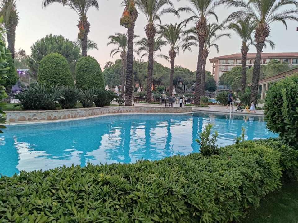 Pool IC Hotels Green Palace