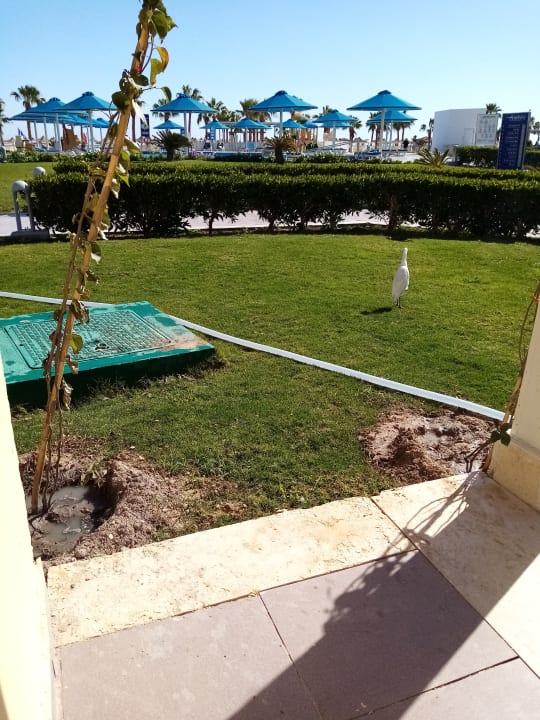 Gartenanlage Amwaj Beach Club Abu Soma Resort