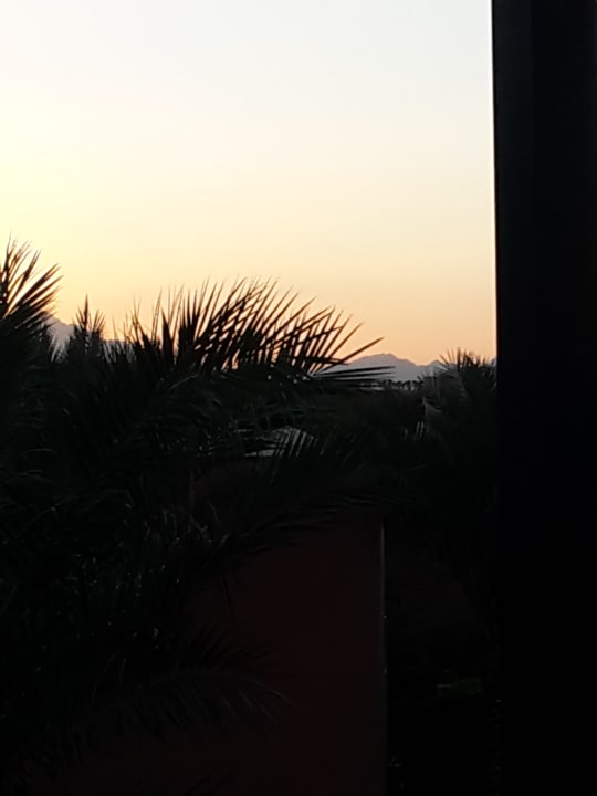 Zimmer Jaz Makadi Oasis Resort