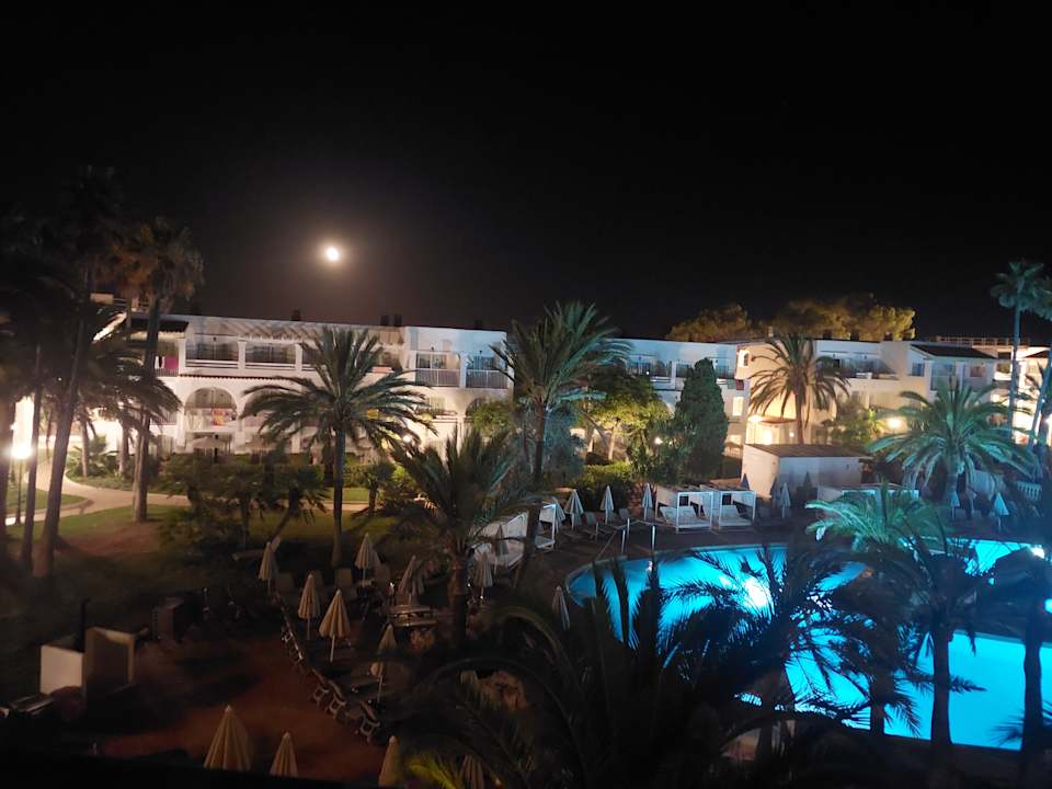 Pool Calimera Fido Gardens