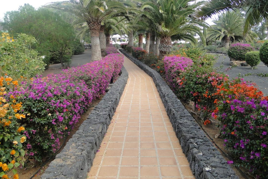 Der Weg Relaxia Olivina