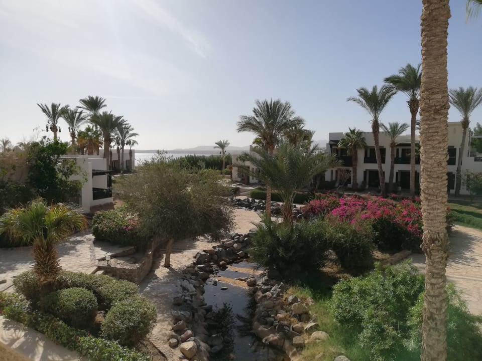 Gartenanlage Sharm Plaza