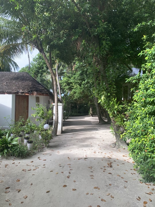 Gartenanlage Thulhagiri Island Resort