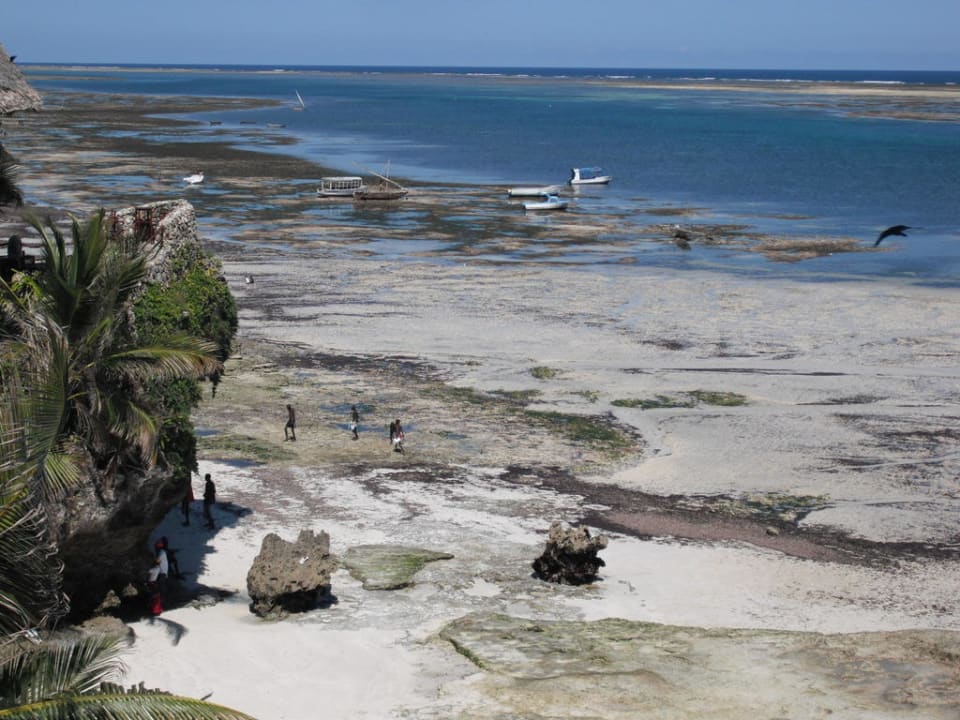Strand bei Ebbe Bahari Beach Hotel