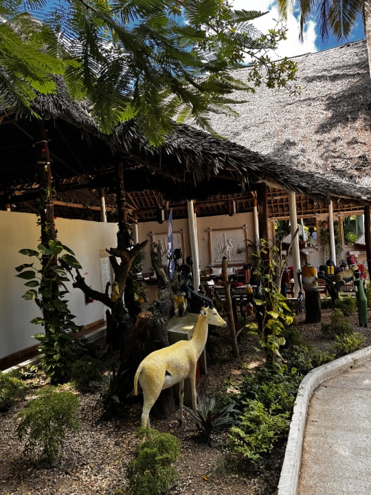 Gartenanlage Hotel Kiwengwa Beach Resort