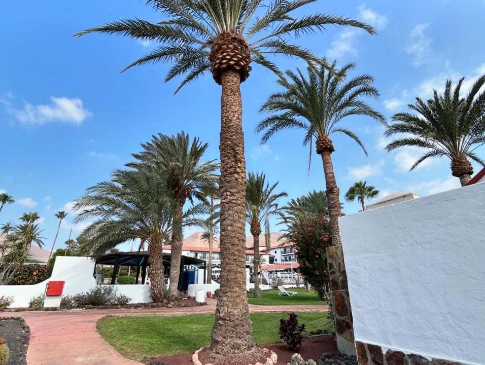 Gartenanlage Aldiana Club Fuerteventura