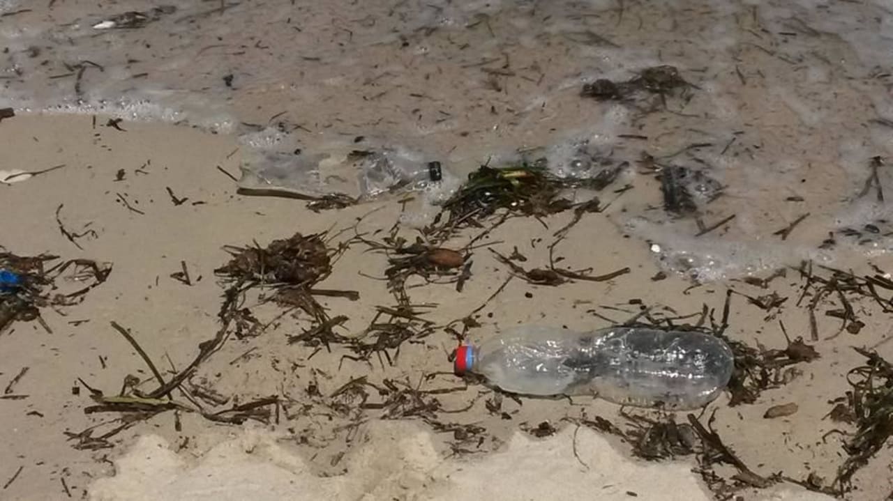 Seegras, Müll Djerba Sun Beach Hotel & Spa