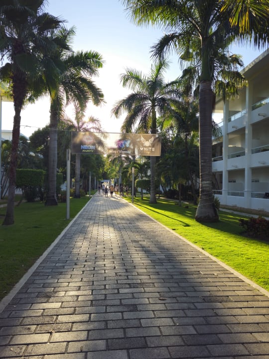Gartenanlage Hotel Riu Playacar