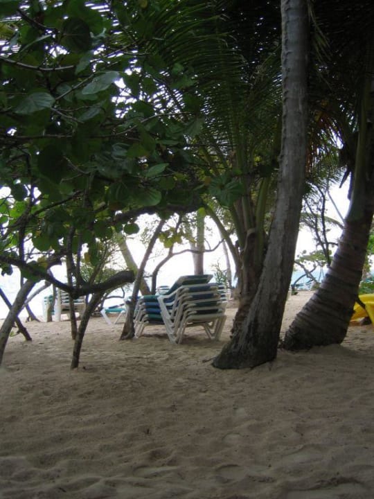 Schattenplätze Grand Palladium Punta Cana Resort & Spa