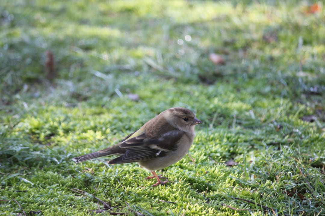 Sonstiges Ferienpark Landal De Lommerbergen