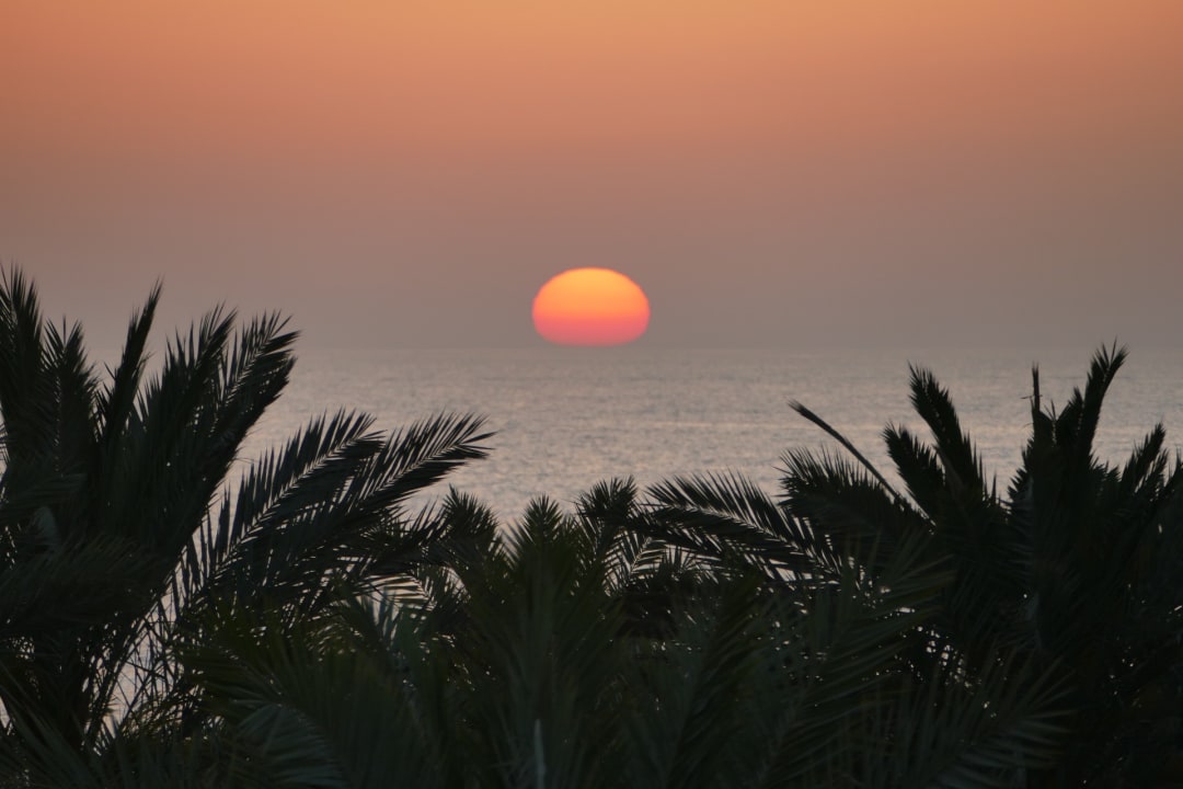 Ausblick Rixos Bab Al Bahr