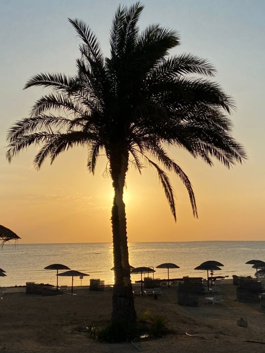 Strand Hotel Gorgonia Beach Resort