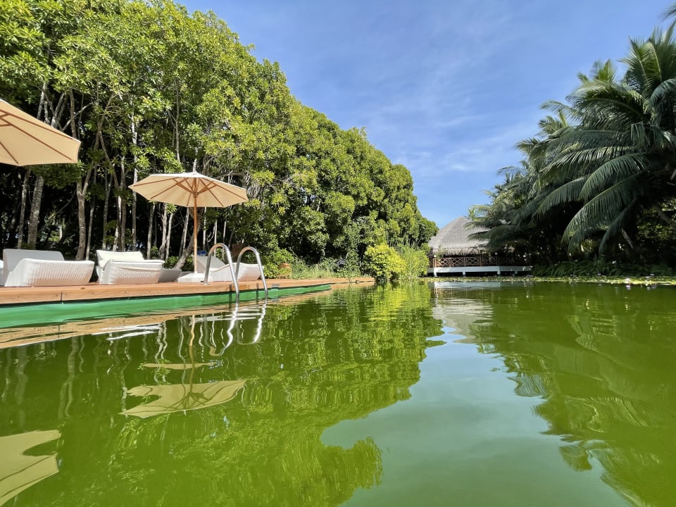 Gartenanlage Dreamland The Unique Sea & Lake Resort / Spa