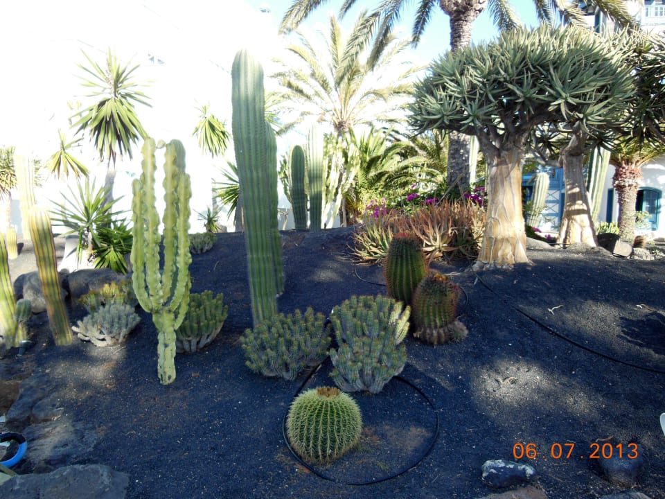 Garten Seaside Hotel Los Jameos
