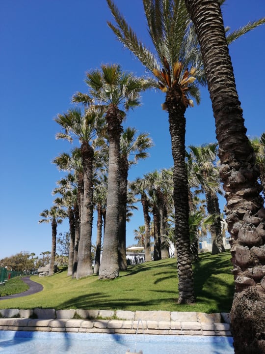 Außenansicht Monachus Family Resort Sorgun