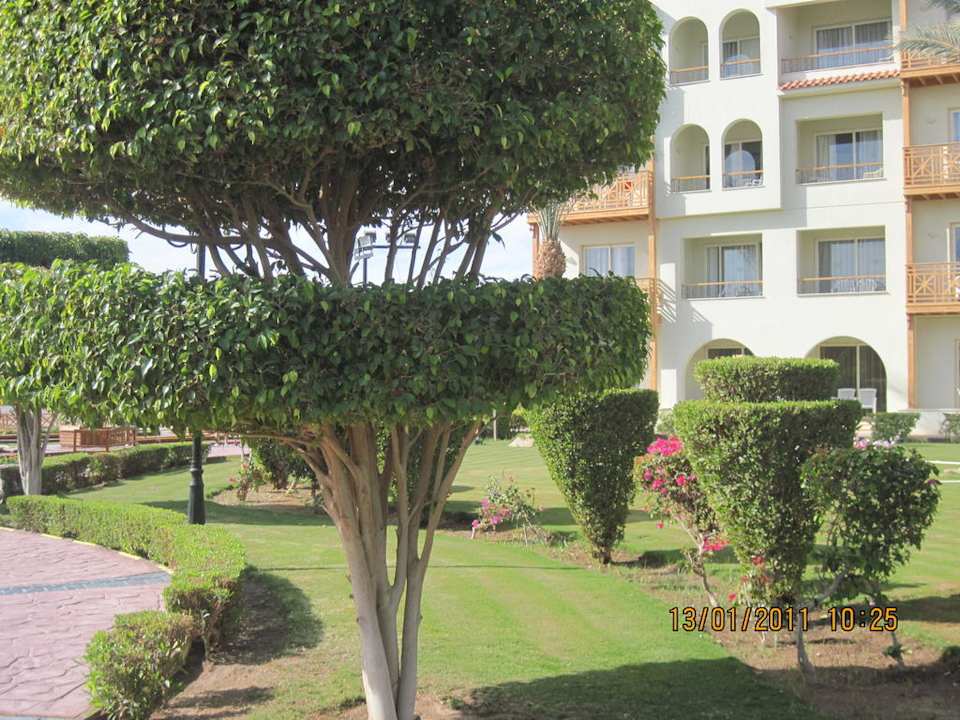 Garten Pickalbatros Dana Beach Resort - Hurghada