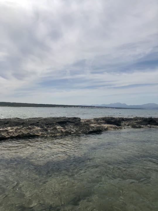 Strand Es Blau des Nord
