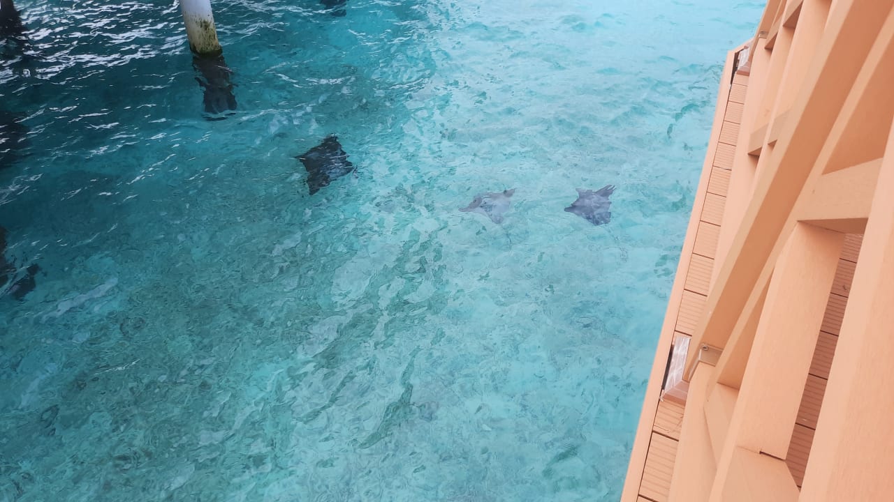 Strand Thulhagiri Island Resort