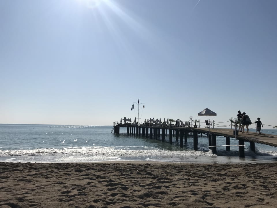 Strand Sherwood Exclusive Lara