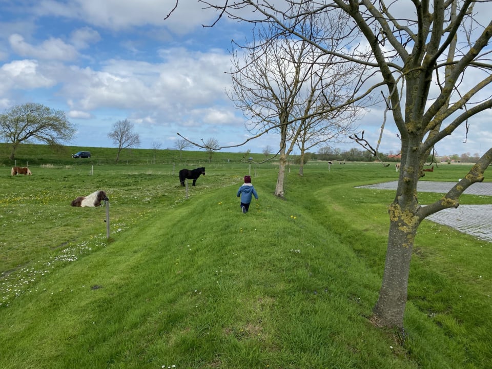 Gartenanlage Ferienhof Inselblick