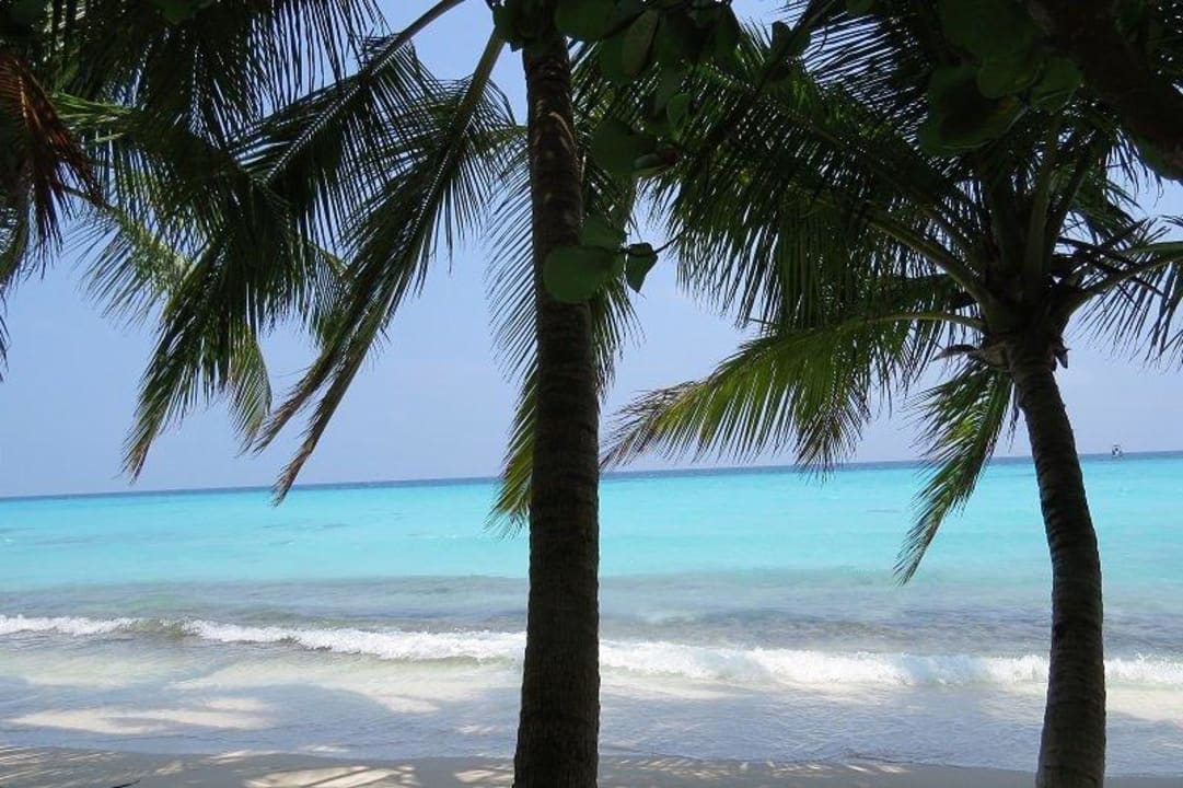 Blick direkt vor dem Bungalow Kuramathi Maldives