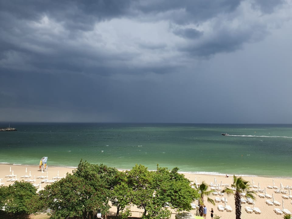 Strand Sentido Marea