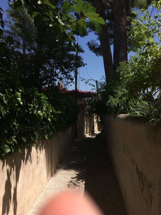 Gartenanlage FLOR los Almendros Hotel