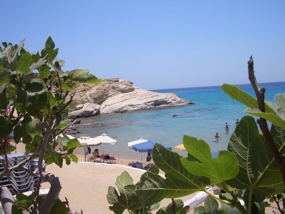 Micro Amoopi Amoopi Bay