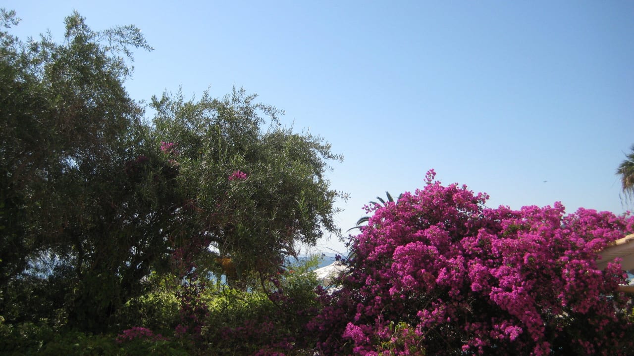 Blick  auf die Gartenseite Elea Beach Hotel