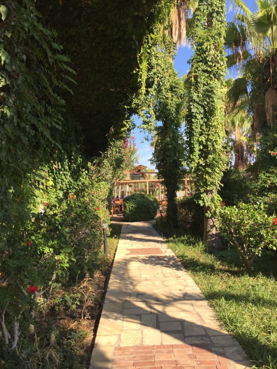 Gartenanlage Hotel Defne Dream