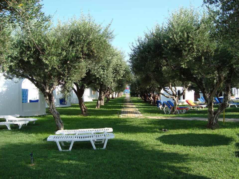 sehr gepflegte wunderschöne große Gartenanlage TUI KIDS CLUB Alex Beach
