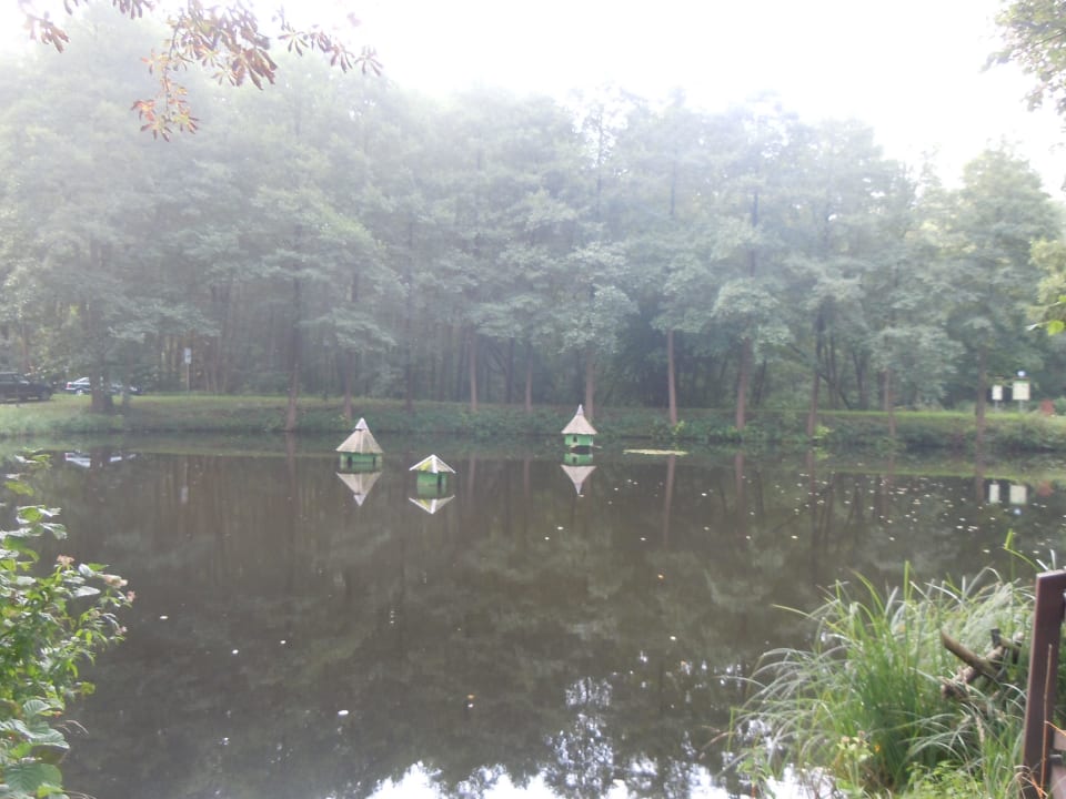 Teich Seezeit Hotel Bad Stuer
