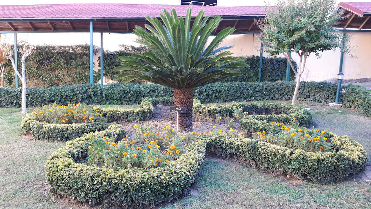 Gartenanlage Grand Seker Hotel