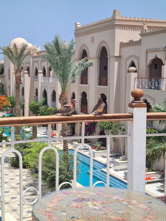 Ausblick The Grand Palace - Adults only