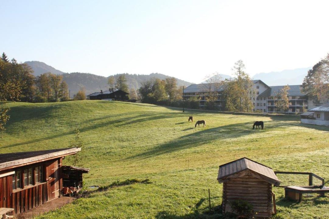 Ausblick vom Zimmer Pension Mooserlehen