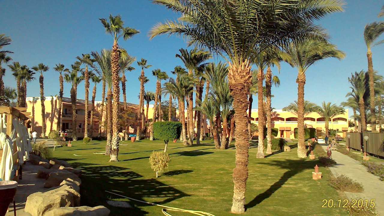 Silvester 2015/16 Beach Albatros Resort