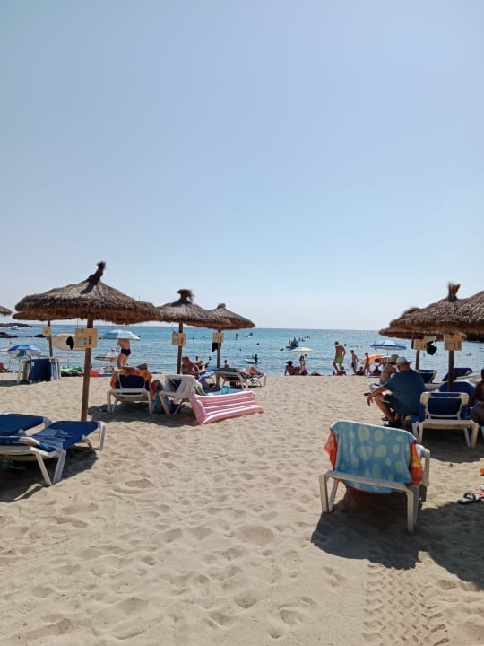 Ausblick Iberostar Waves Pinos Park