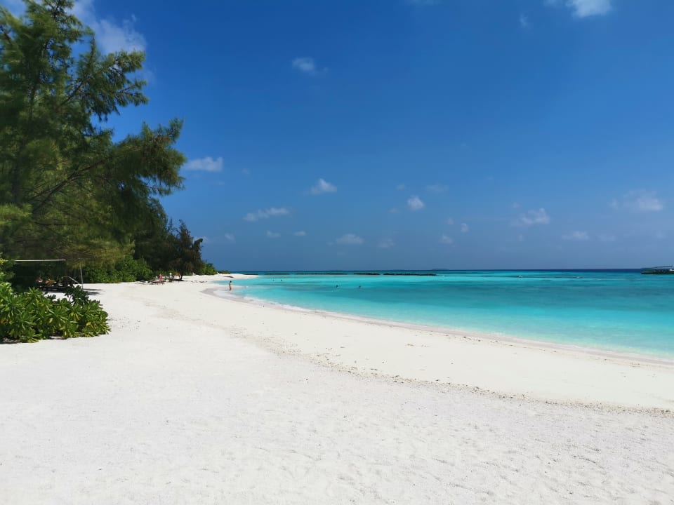 Strand Summer Island Maldives