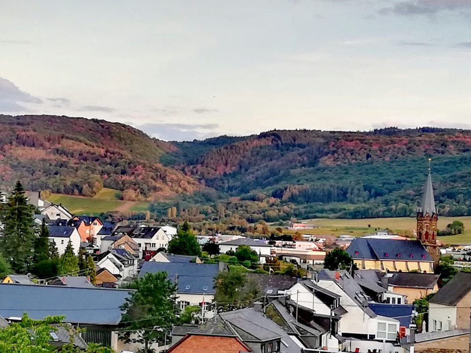 Ausblick Wein & Gästehaus Rosenlay