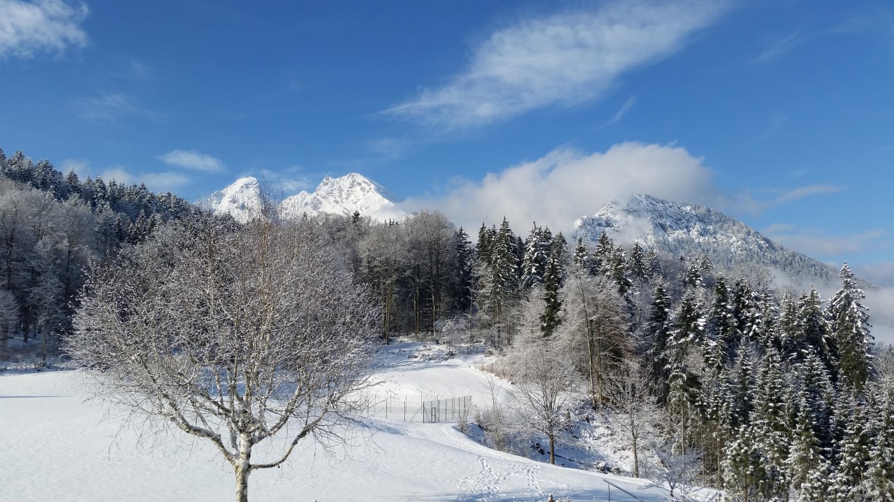Blick vom Balkon Alm- & Wellnesshotel Alpenhof