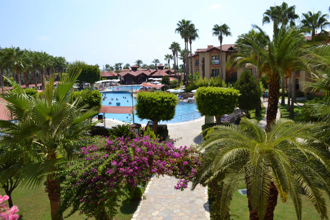 Pool Miramare Queen Hotel